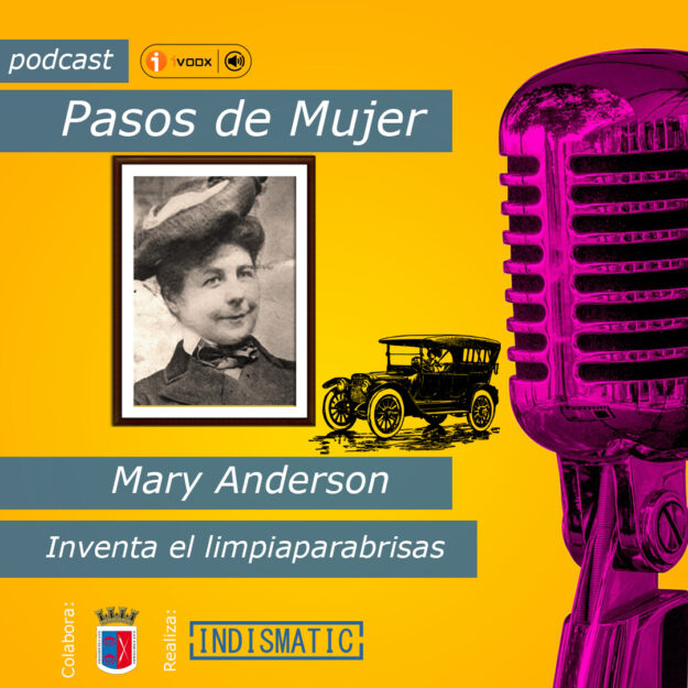 Mary Anderson limpiaparabrisas La vida de Mary Anderson es un ejemplo de mujer injustamente tratada en lo referente a su invento. Nada reconocida pero esa situación que no la hizo cejar en su empeño de dejar para los suyos una situación mejor. Creando un más que estable y provechoso negocio inmobiliario del cual se beneficiaron sus familiares.