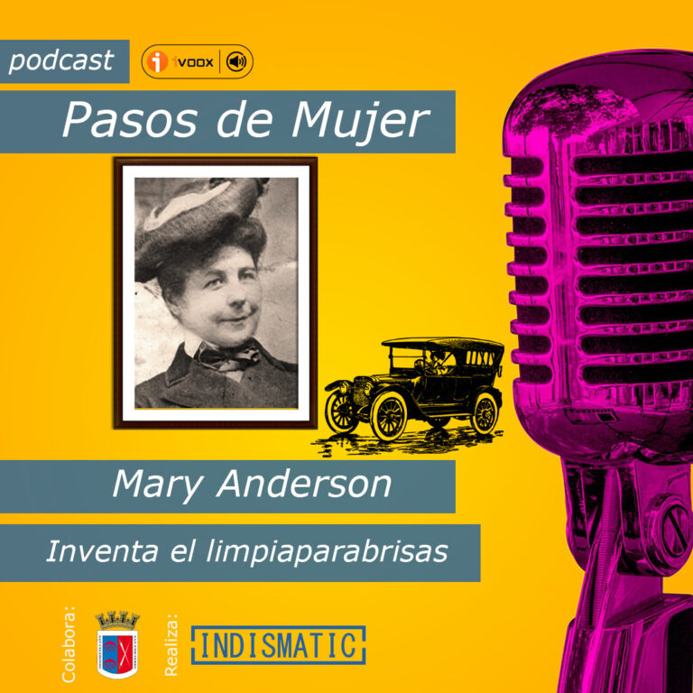 La vida de Mary Anderson es un ejemplo de mujer injustamente tratada en lo referente a su invento. Nada reconocida pero esa situación que no la hizo cejar en su empeño de dejar para los suyos una situación mejor. Creando un más que estable y provechoso negocio inmobiliario del cual se beneficiaron sus familiares.