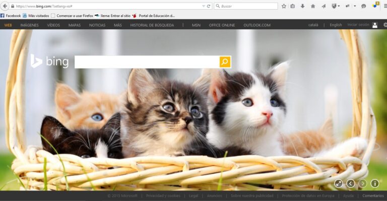 bing buscador bing